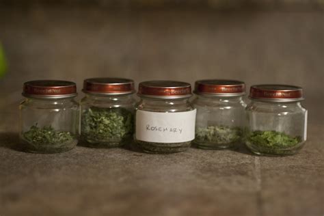 Homegrown dried herbs | Living Well on Less