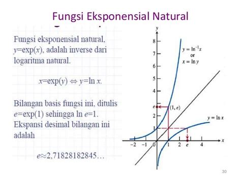 Perbedaan Gambar Dan Grafik Fungsi Eksponensial Integral Care - IMAGESEE