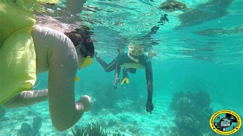 Belize Barrier Reef Snorkeling & Fresh Water Creek Bio-luminescent Tour Combo - Hopkins, Stann ...