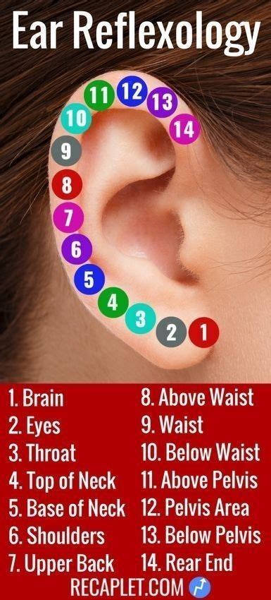 Pain intensity ear piercing pain chart - limopatch