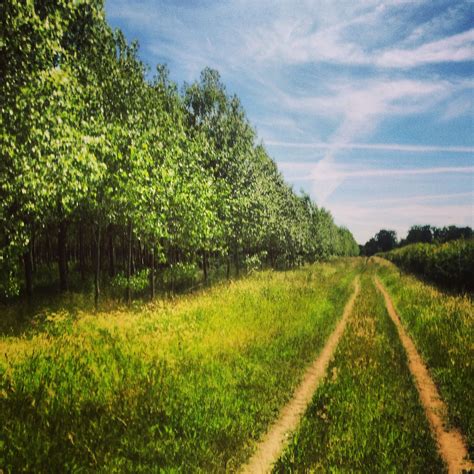 The gorgeous Cambridgeshire countryside! | Beautiful nature, Beautiful images nature, English ...