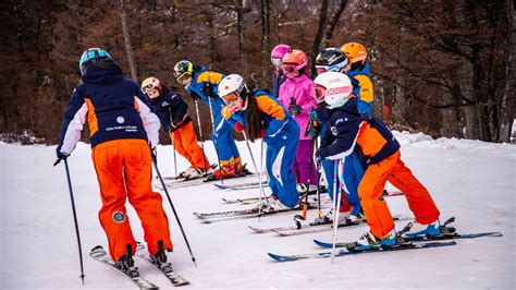 Viajar a Ushuaia: 5 actividades para hacer en la nieve, bosque y el ...