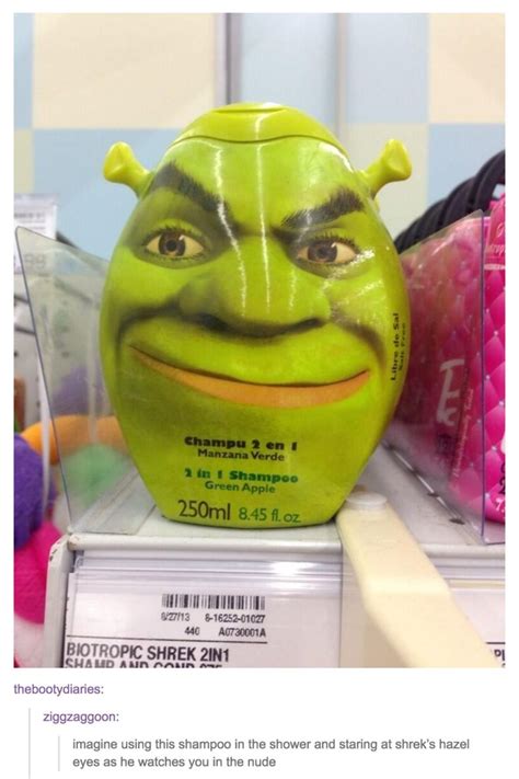 Avert your wholesome eyes. | Shrek, Tumblr funny, Funny tumblr posts