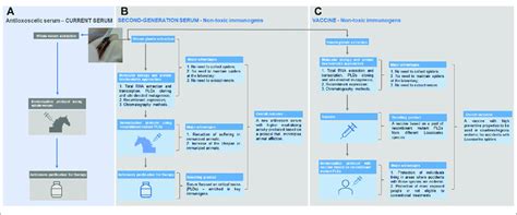 | Current antivenom therapy (antiloxoscelic serum) and the new... | Download Scientific Diagram