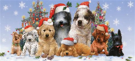 LPG Greetings Puppies in Santa Hats Box of 14 Long Glitter Dog ...