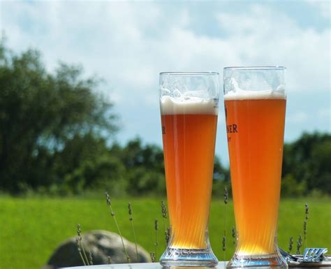 6 Famous German Beer Styles & Brands You Have To Taste For Yourself