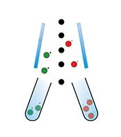 Cell Sorting | accela