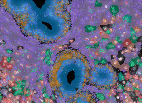 In Situ Gene Expression - 10x Genomics