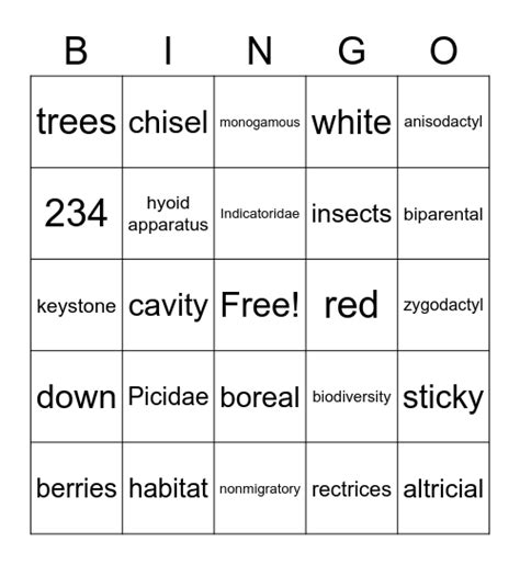 Picidae Bingo Card