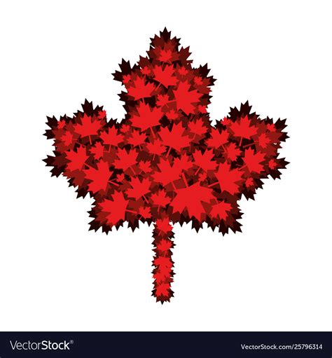 Maple leaf canada design Royalty Free Vector Image