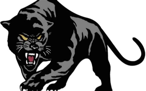 Black Panther Clipart Pioneer - Black Panther - Png Download - Full ...