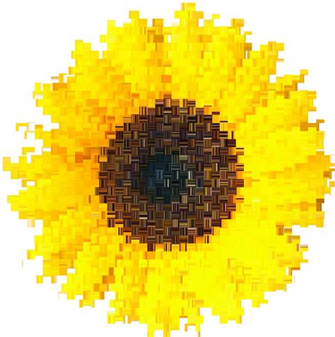 Sunflower Pixel Art – Brian Bula!