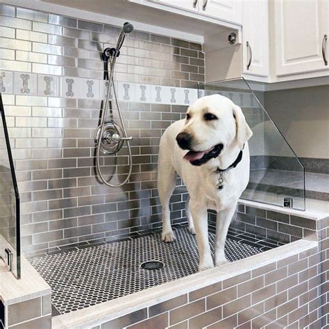 dog grooming,dog training,dog stuff,dog ideas,dog care #dogstuff | Dog washing station, Dog ...