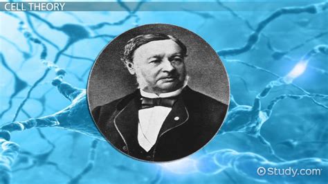 Theodor Schwann | Biography, Discovery & Contributions - Lesson | Study.com