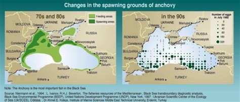 Infographics, Maps, Music and More: Black Sea Pollution