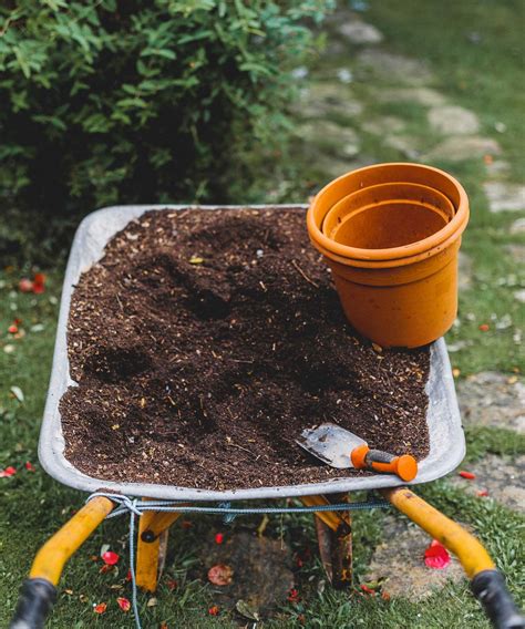 Chalky soil: how to make the most of it in your backyard | Gardeningetc