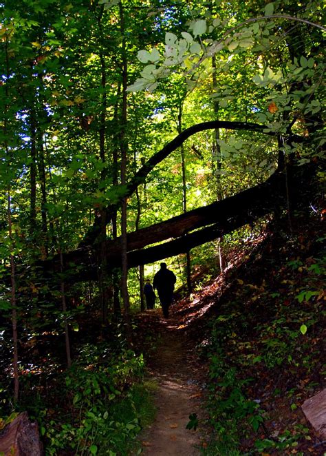 Upstate VA Hikers: Yellow Branch Falls