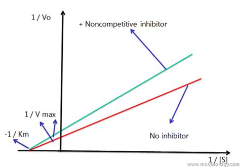 Multiple Choice Questions on Enzyme Inhibition ~ MCQ Biology - Learning Biology through MCQs