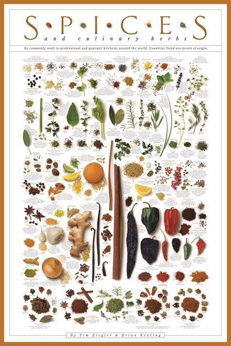 Classic Spices Poster and a Giveaway | Lisa's Kitchen | Vegetarian Recipes | Cooking Hints ...