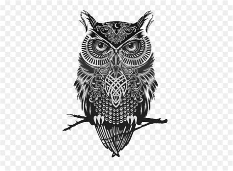 Free Great Horned Owl Silhouette, Download Free Great Horned Owl ...