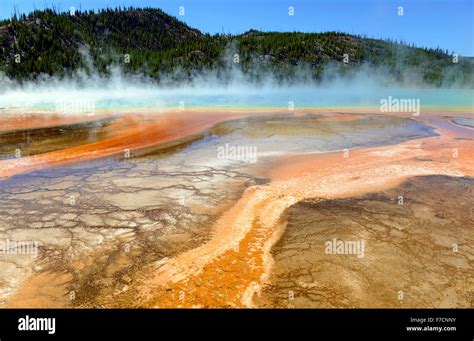 Geothermal features in Yellowstone National Park, Wyoming, USA Stock Photo - Alamy