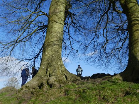 UK - Wiltshire - Avebury - Walking in Avebury henge | Flickr