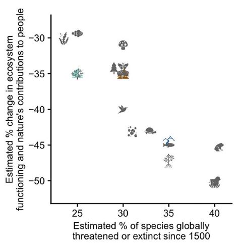 Mass extinction warning: Action needed on crisis ‘more important than ...