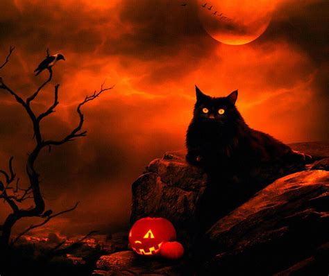 Halloween Cat Moon Wallpapers - Wallpaper Cave