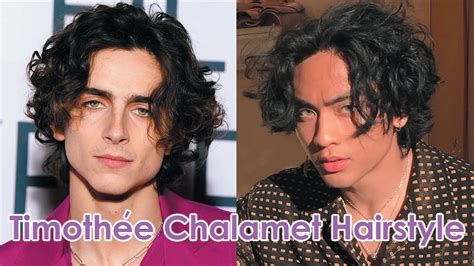 Timothée Chalamet Inspired Hairstyle Tutorial - NY Beauty Review