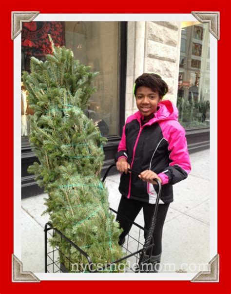 Christmas Tree Shopping New York City Style