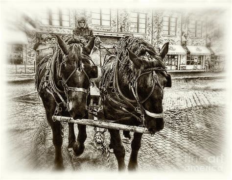 Wagon Ride Photograph by Nicholas Kokil - Fine Art America