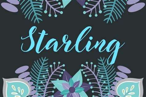 Starling Font by No Gravity Type · Creative Fabrica | Calligraphy script fonts, Starling, New fonts