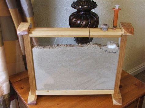 17 best images about DIY Ant Farm on Pinterest | Formicarium, E books ...