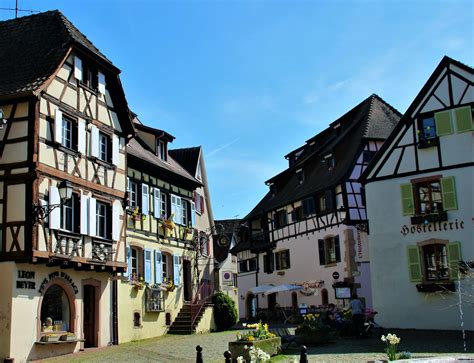 Alsace villages and wine route half day morning tour | musement