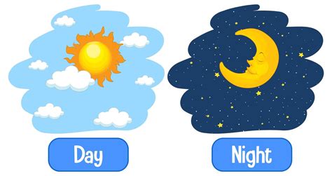 Opposite adjectives words with day and night | Adjective words, Adjectives, Educational flash cards