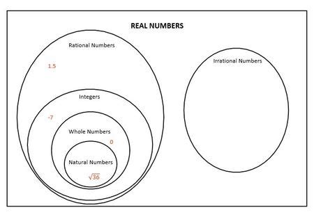 14+ venn diagram of real numbers - JeeshanYakub