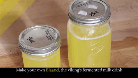 Make your own Blaand, the viking's fermented milk drink - Alltop Viral