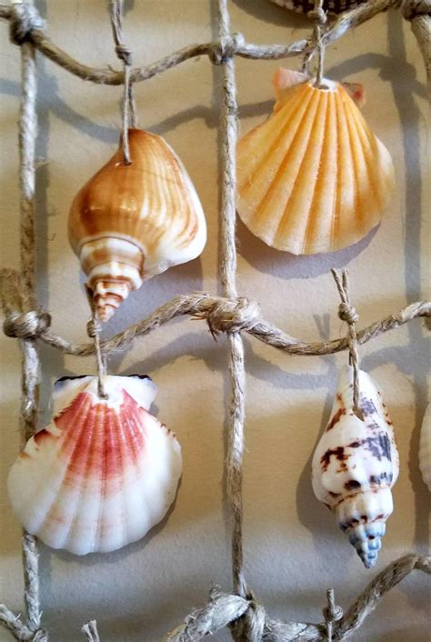 Sea shell hanging Wall art Wall decoration palm tree sea | Etsy