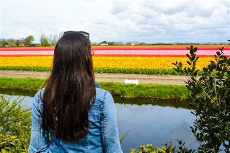 Celebrate Spring in Katwijk, Netherlands