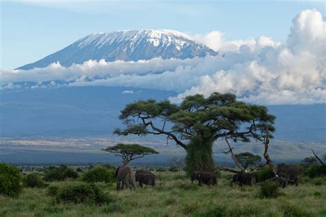 Mount Kilimanjaro – the island in the sky -a view from Amboseli | Howie ...