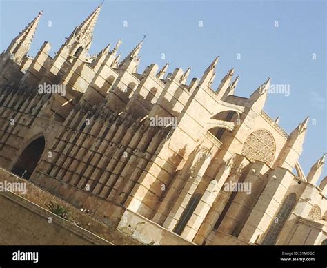 Palma Cathedral gothic architecture Stock Photo - Alamy