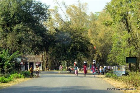 Bavali end of Nagarhole forest. | Bavali end of Nagarhole forest. Turn ...