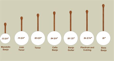 Parts Of A Banjo Diagram