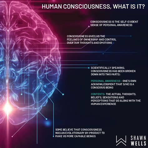 Human Consciousness, What is it?