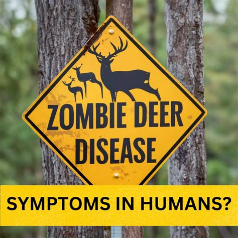 Zombie deer disease: Symptoms and Precautions! Latest Updates