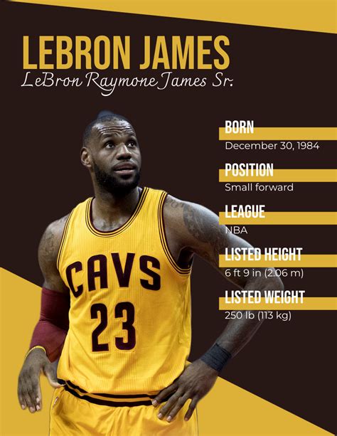 LeBron James Biography | Biografia Template