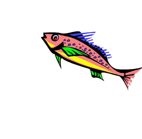 Salmon Clip art - Colorful World png download - 1000*983 - Free Transparent Salmon png Download ...