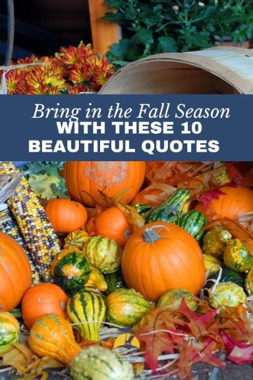 Bring in the Fall Season with These 10 Beautiful Quotes