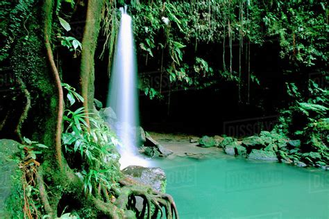 Caribbean, Island of Dominica (aka Nature Island). Trois Piton National Park, Emerald Pool ...