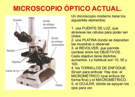 Propiedades Del Microscopio Optico - Image to u